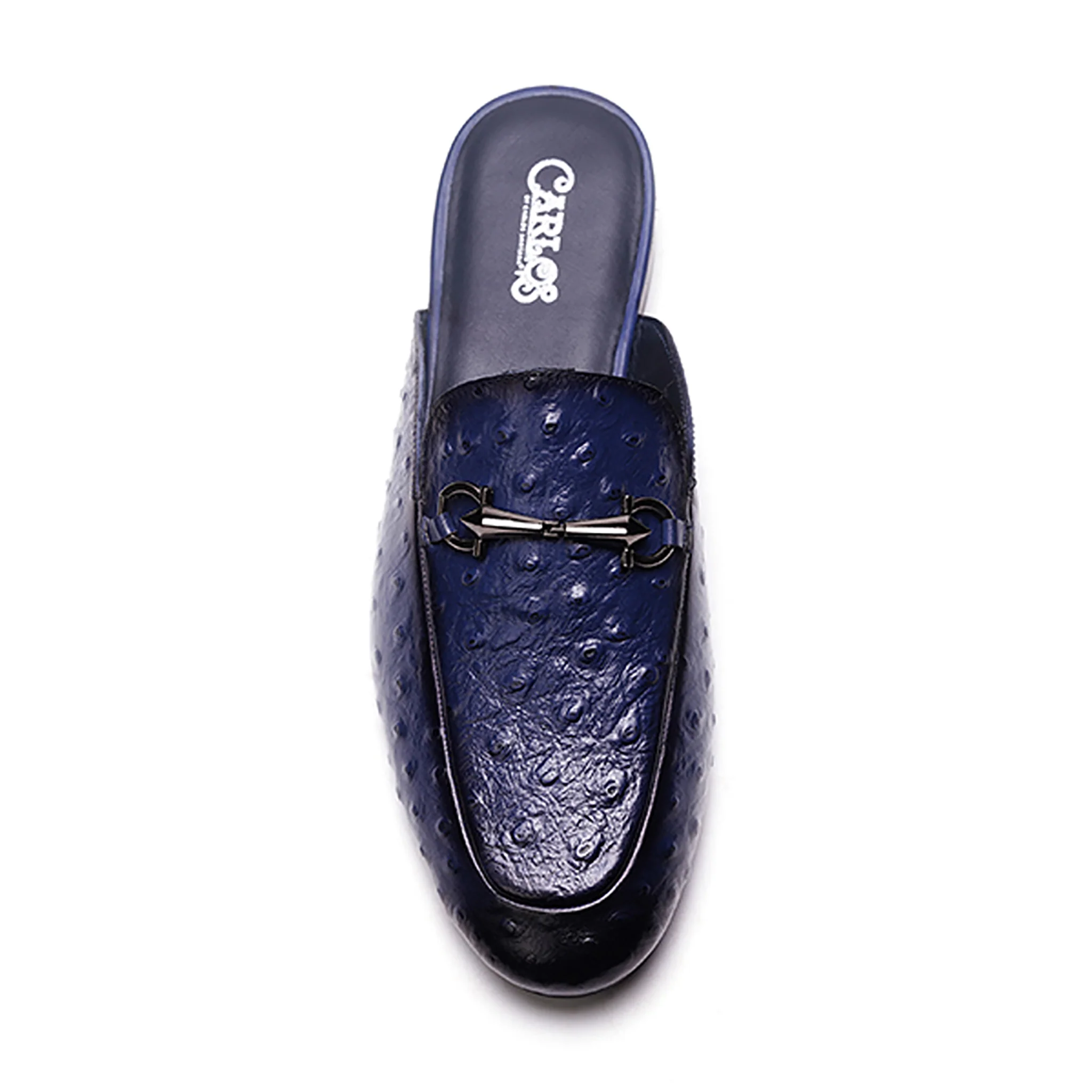 Apollo Bit Slide // Ostrich Blue - Image 3