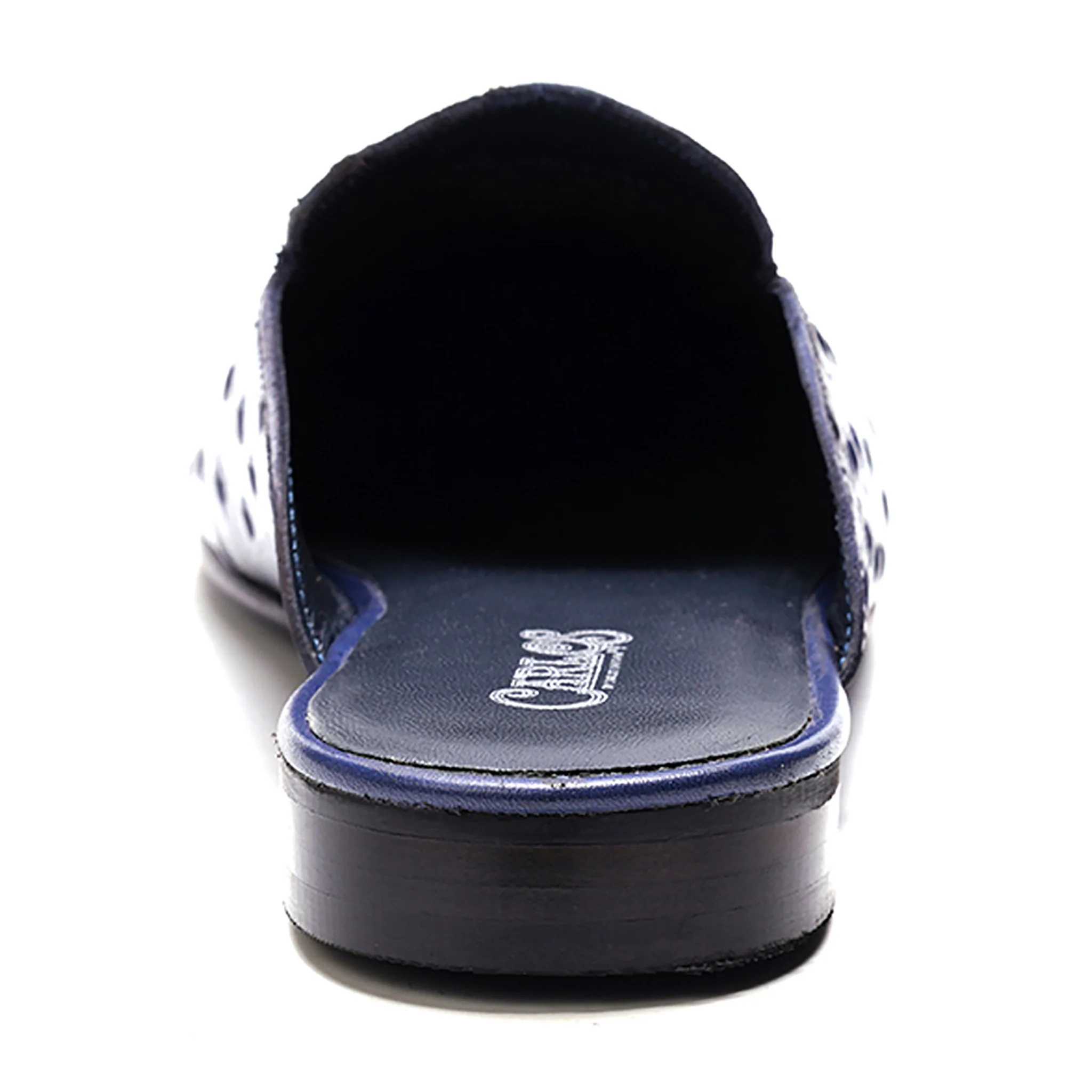 Apollo Bit Slide // Ostrich Blue - Image 4