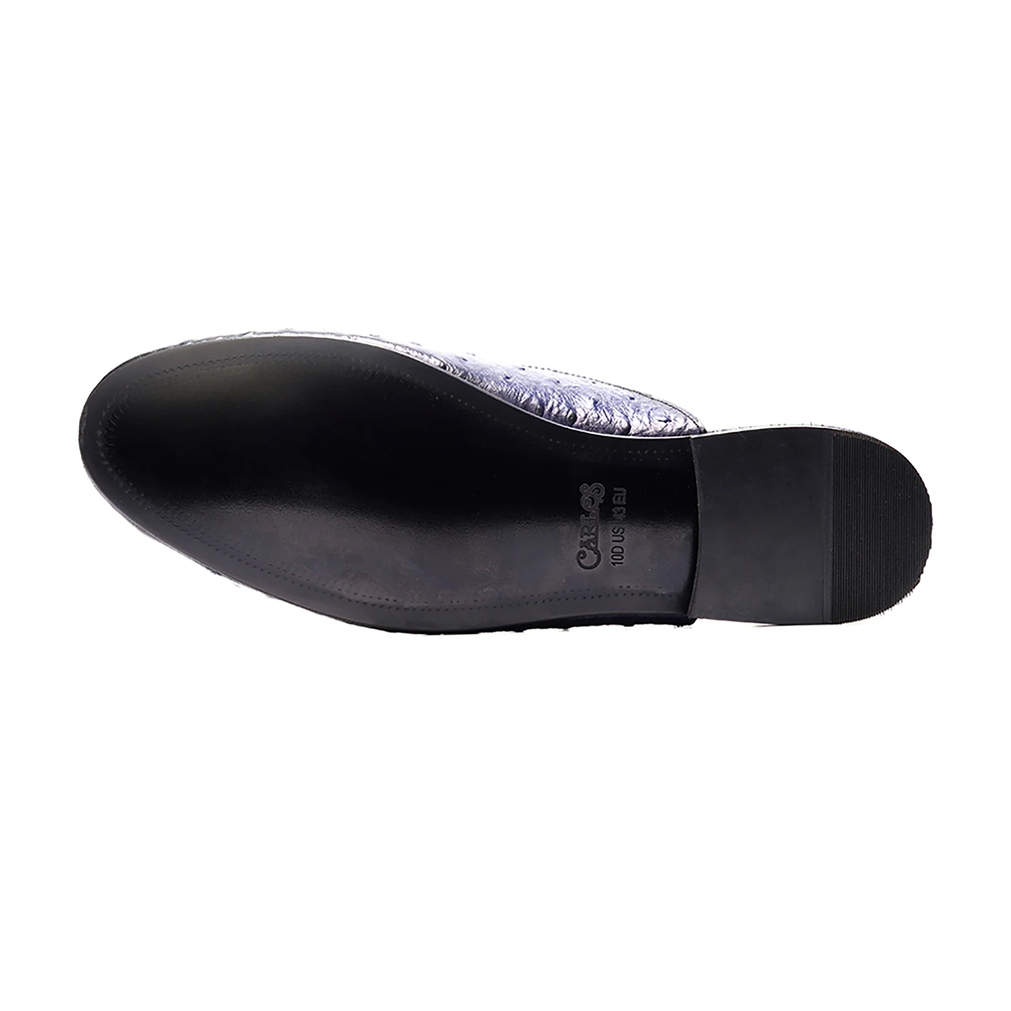 Apollo Bit Slide // Ostrich Blue - Image 5