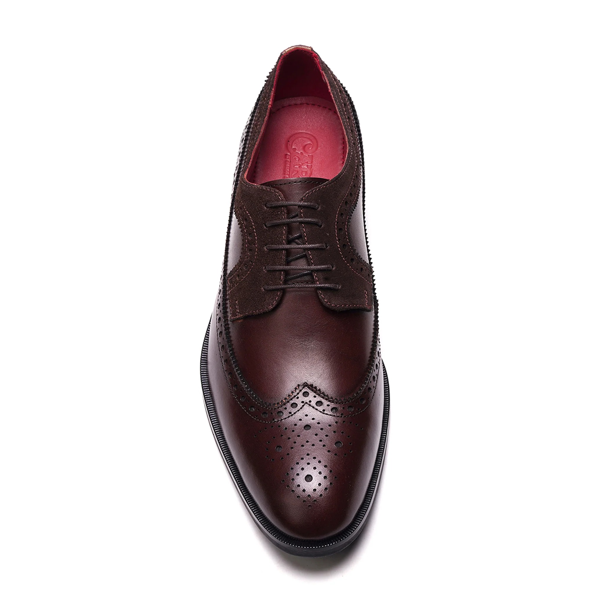 Felix Wingtip Shoe // Brown - Image 3