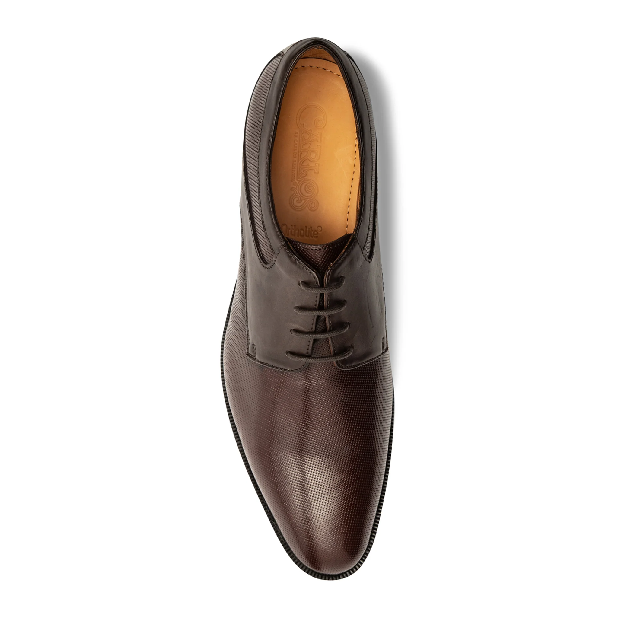 Power Print Oxford // Brown - Image 3